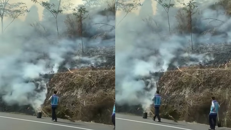 Alang-alang di Sisi Jalan Tol Cipularang Km 112 Jalur A Terbakar, Asap Ganggu Pandangan