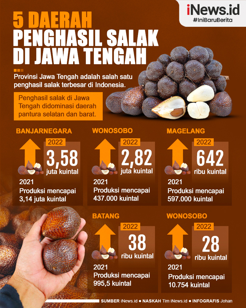 Infografis 5 Daerah Penghasil Salak Terbesar di Jawa Tengah