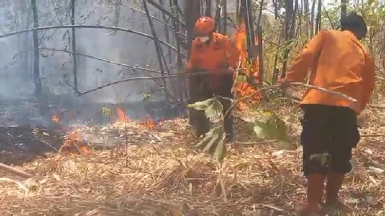Belasan Hektare Hutan Bambu di Majalengka Terbakar