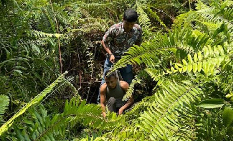 Penampakan Napi Lapas Bengkalis Sembunyi di Semak-Semak, Tertangkap Lagi Usai Kabur