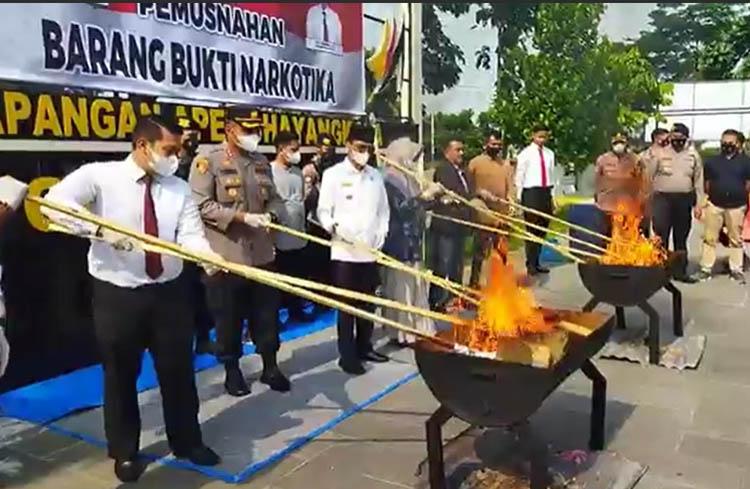 Polres Lima Puluh Kota Musnahkan Barang Bukti Ganja 54,1 Kilogram