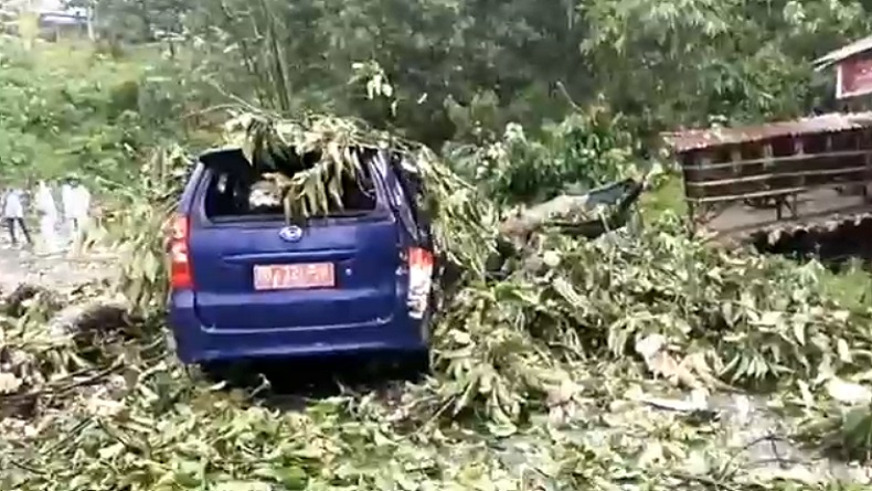 Pohon Tumbang Timpa Mobil Camat di Madina saat Melintas, Kaca sampai Pecah