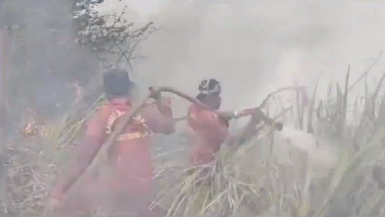 Karhutla di Ogan Ilir 4 Hari Tak Kunjung Padam, Ini Kendala Petugas