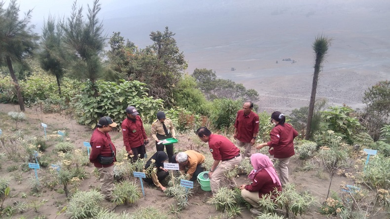 Kementerian LHK Pastikan Tak Ada Satwa Mati saat Kebakaran Gunung Bromo
