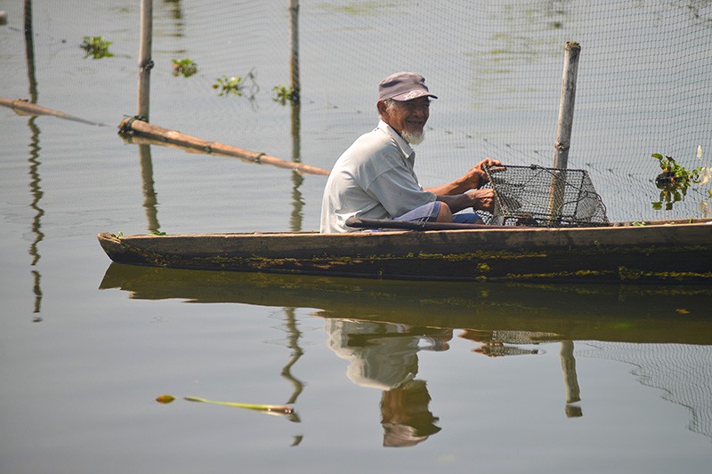 Ikan Rinuak Hewan Endemik Danau Maninjau Hilang Sejak Kematian Massal  - Bagian 1