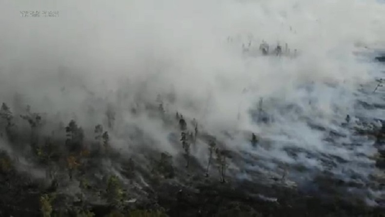 Komisi IV DPR Sesalkan Hutan Lindung Danau Toba Terbakar, Pemerintah ...