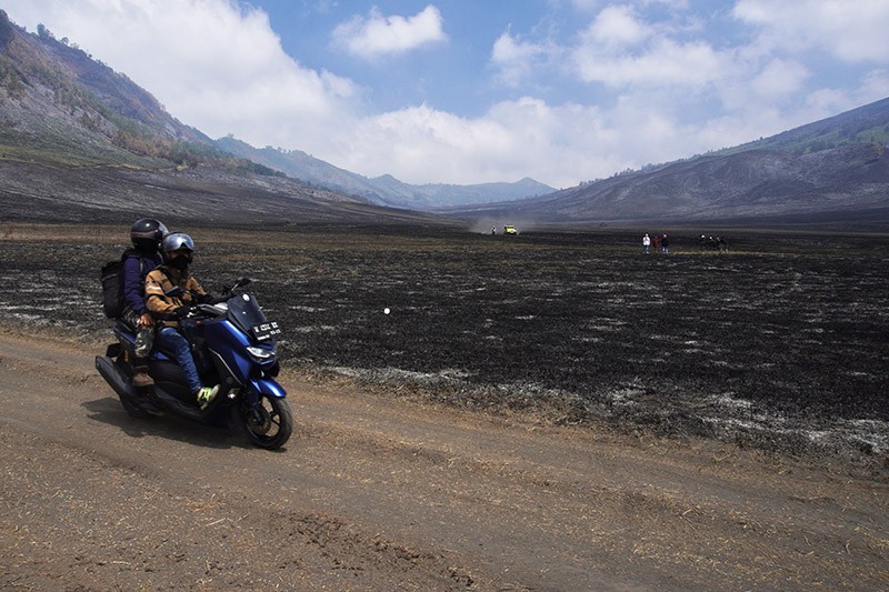 Wisata Gunung Bromo Dibuka, Pengunjung Disuguhkan Bukit Teletubbies yang Hangus - Bagian 2