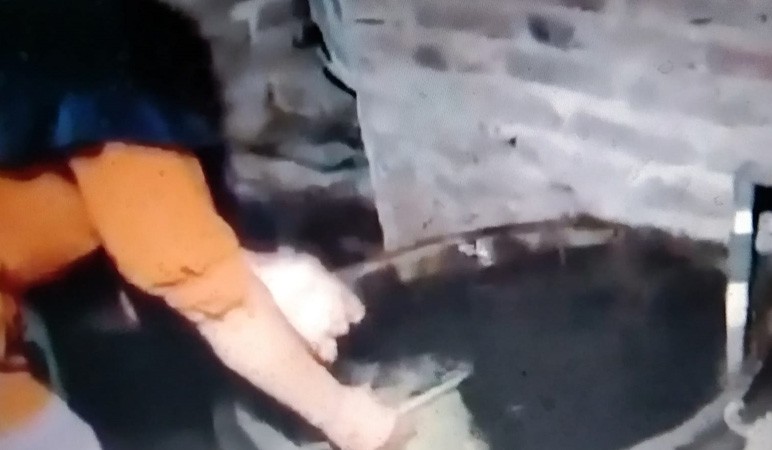 Heboh Air Sumur di Demak Meluber di Tengah Kekeringan Ekstrem, Diyakini Bawa Berkah