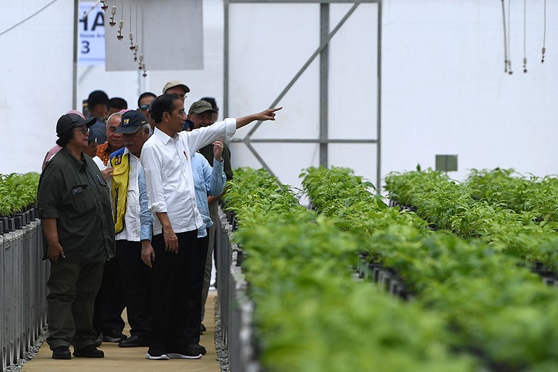 Presiden Jokowi Cek Perkembangan Pembibitan Tanaman untuk Penghijauan IKN - Bagian 2