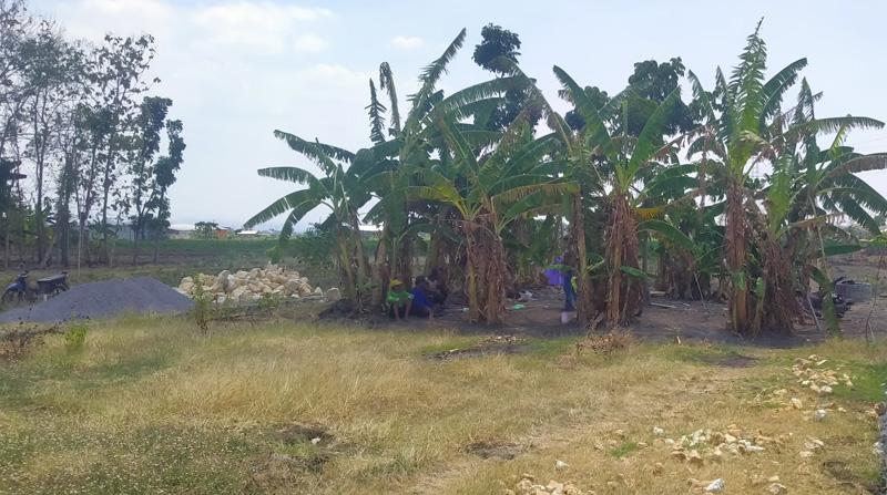 Caleg Partai Perindo Bangun Punden Desa Sakral Sumur yang Tak Pernah Surut di Grobogan