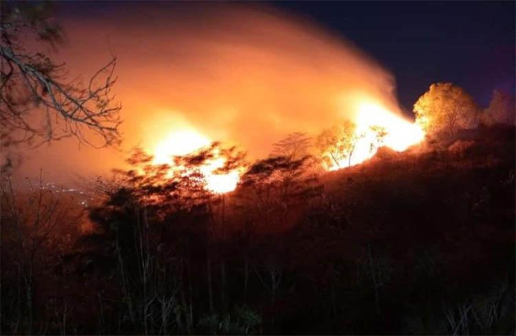 2 Hutan di Lereng Gunung Gambar Gunungkidul Terbakar