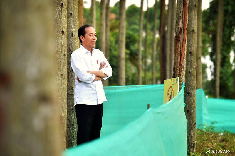 Presiden Jokowi Mengawali Pagi dengan Melihat Pembangunan IKN dari Atas Bukit - Bagian 2