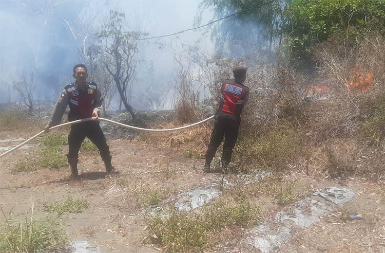 title Tanah Kas Desa Glagah Kulonprogo Terbakar, Api dari Pembakaran Sampah Tanah Kas Desa Glagah Kulonprogo Terbakar, Api dari Pembakaran Sampah