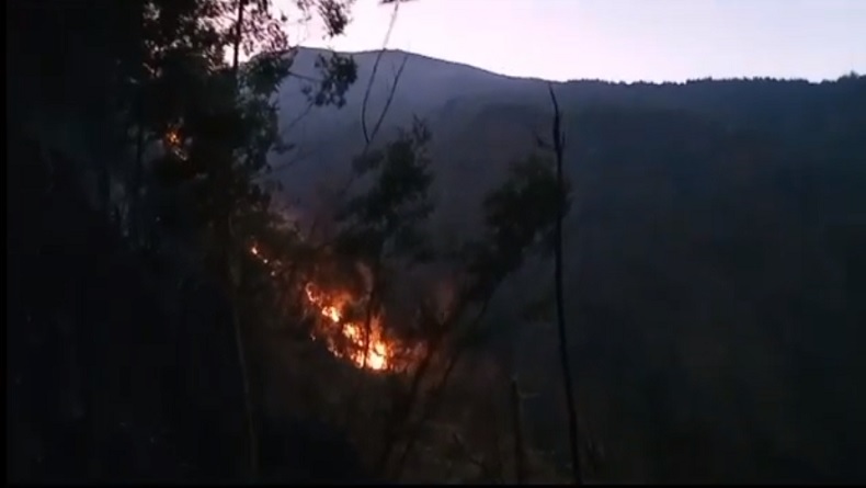 Kebakaran Landa Hutan di Lereng Gunung Merbabu