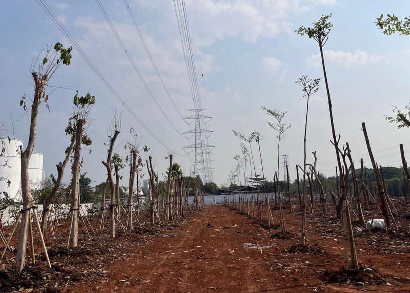 Tempuh Pendekatan Humanis, JIEP Kembalikan Fungsi Hutan Kota Kawasan Industri Pulogadung - Bagian 1