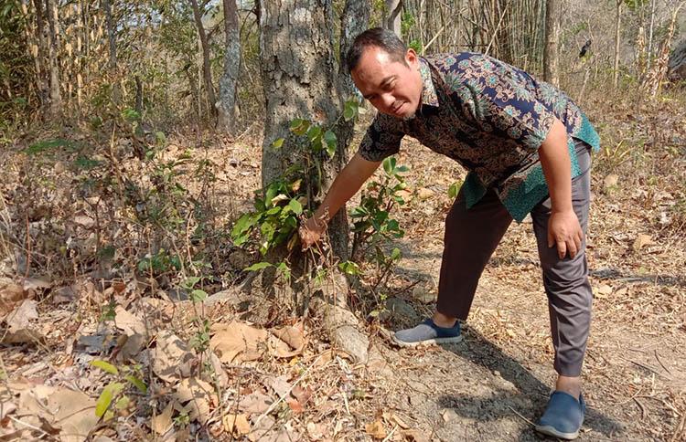 title DPRD DIY Soroti Banyak Sumur Bor yang Dibangun Pemerintah Tak Berfungsi DPRD DIY Soroti Banyak Sumur Bor yang Dibangun Pemerintah Tak Berfungsi
