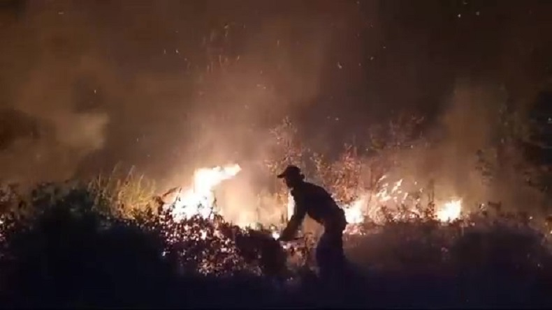 2 Hektare Lahan Terbakar di Sabangau Palangka Raya, Api Dekati Permukiman
