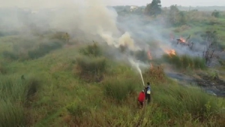 Tim Gabungan Kewalahan Atasi Karhutla di Pulang Pisau, Api Dekati Sarang Walet
