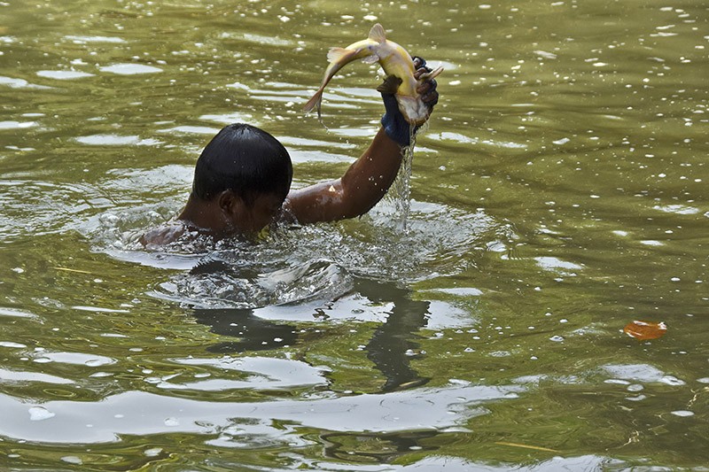 Keahlian Warga Ciamis Tangkap Ikan di Sungai Citanduy dengan Tangan Kosong - Bagian 1