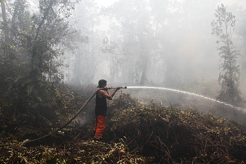 Upaya Pemadaman Karhutla di Kalimantan Tengah - Bagian 1