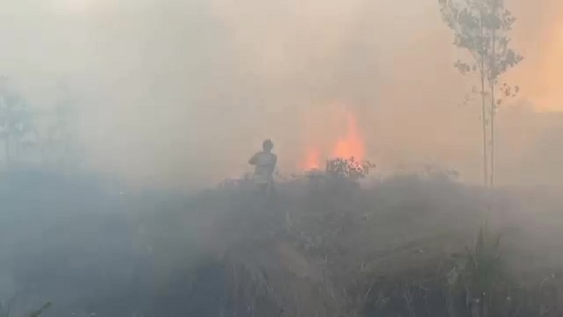 414 Karhutla Terjadi di Palangka Raya, Warga Minta Segera Tangkap Pembakar Lahan