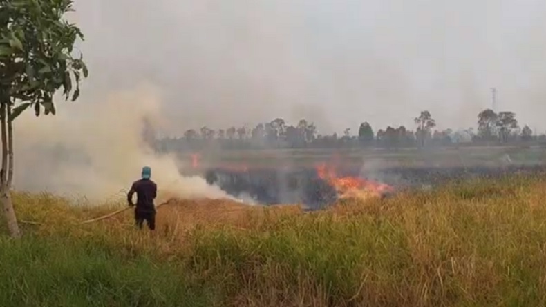 Geger Api Muncul Dekat Permukiman di Batola, Warga Panik 
