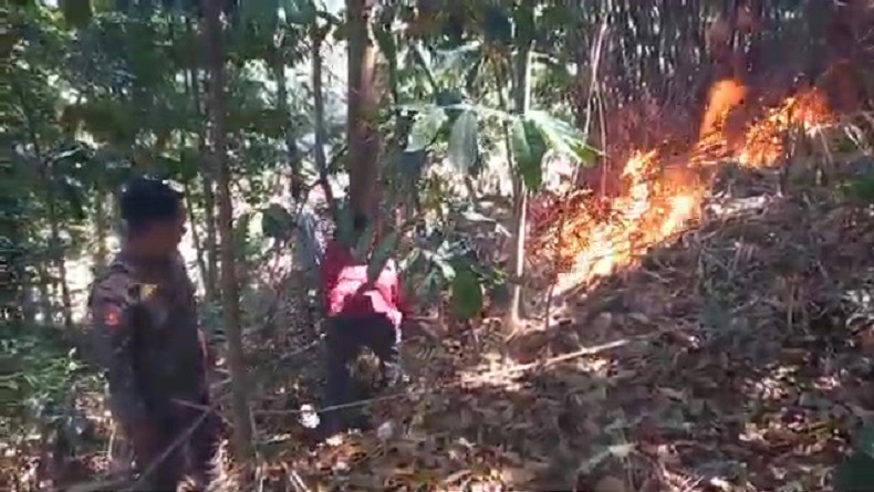 Kasus Karhutla di Majalengka Meningkat, Dominan Terjadi di Pegunungan 