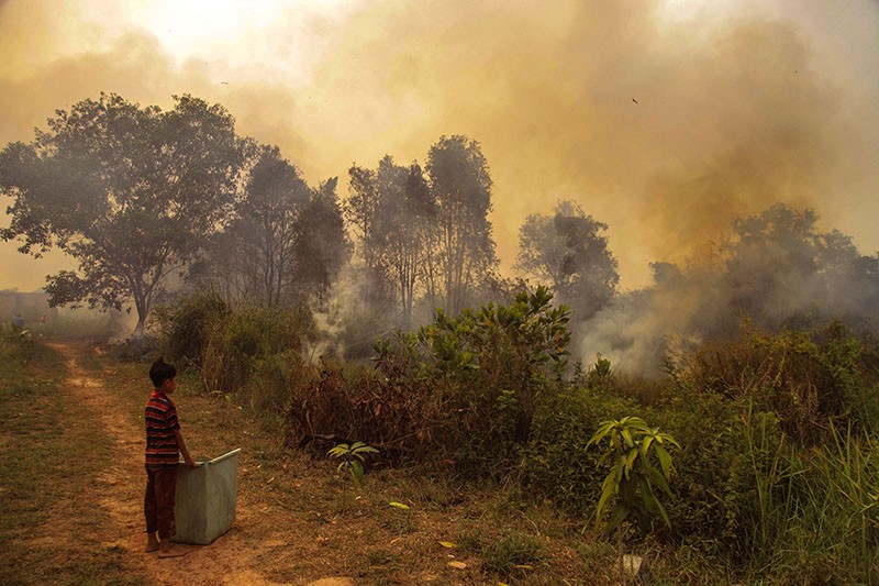 Begini Semangat Anak-Anak Palembang Jaga Sekolah dari Kebakaran Lahan - Bagian 3