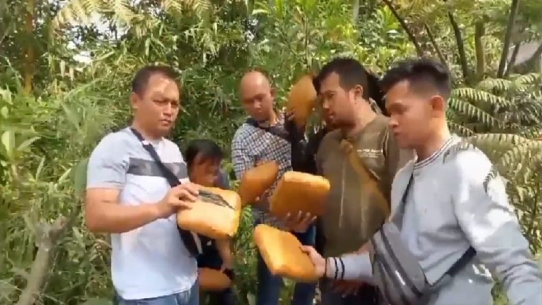Polisi Gerebek Rumah Bandar di Lembang KBB, Sita 10 Kg Ganja Ditutupi Ikan Asin