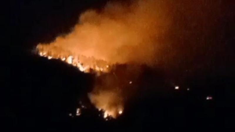 Hutan Gunung Lawu Kembali Terbakar, Petugas Gabungan Berjibaku Padamkan Api