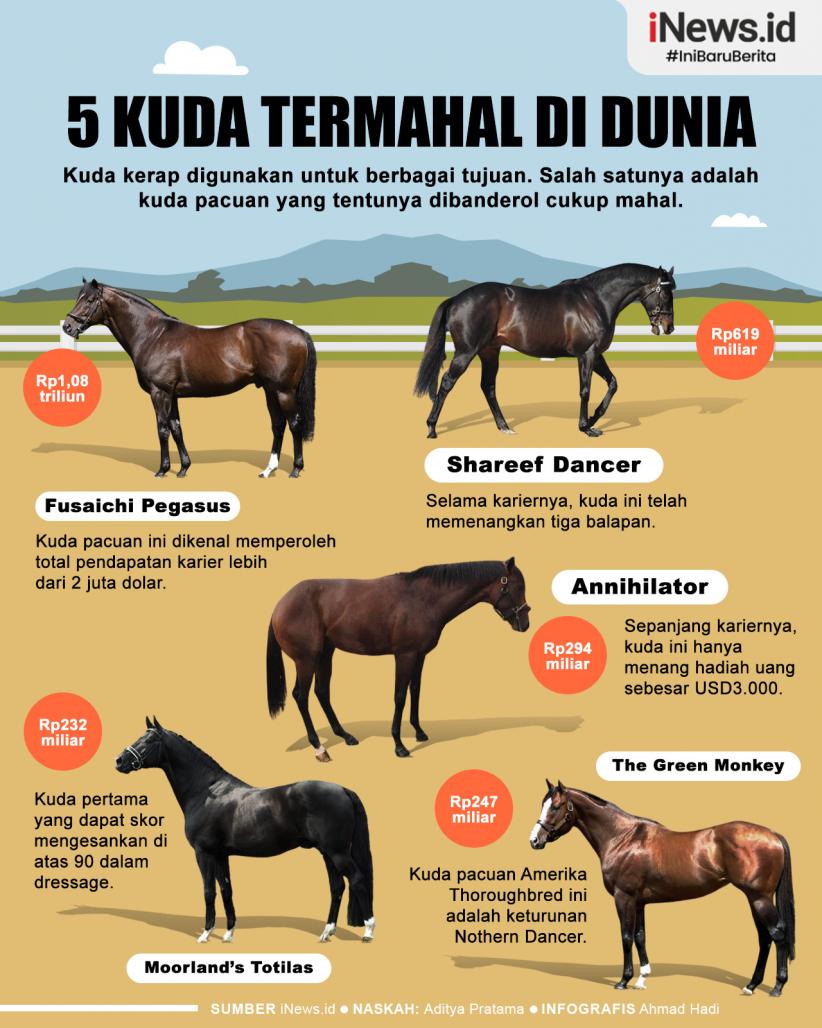 Infografis 5 Kuda Termahal di Dunia
