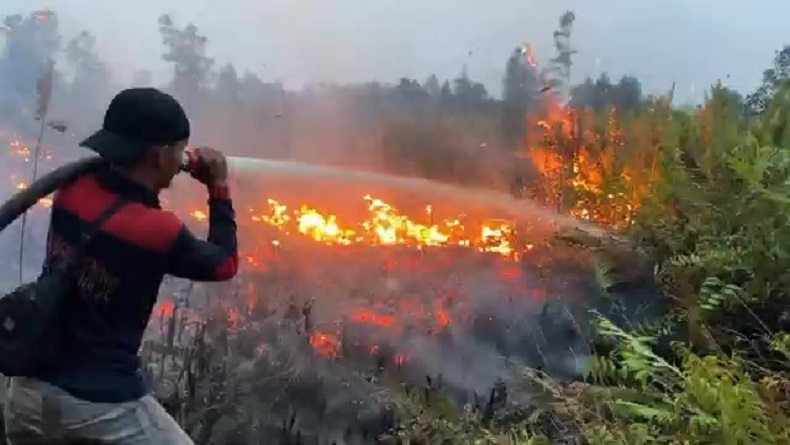 Kawasan Ketimpun Permai Palangka Raya 3 Hari Terbakar, Petugas Damkar Kelelahan