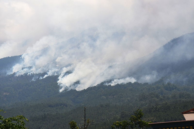 Asap Kebakaran Hutan Gunung Lawu Membubung Tinggi