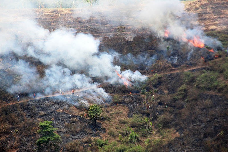 Karhutla akibat Dibakar Penduduk Buka Lahan di Desa Carangwulung Jombang - Bagian 1
