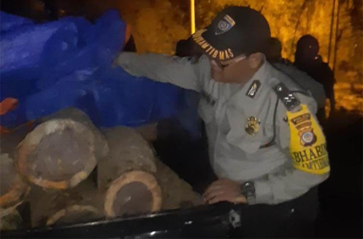 2 Pelaku Penebangan Liar Ditangkap Warga saat Angkut Kayu Sonokeling di Hutan Jati Bantul