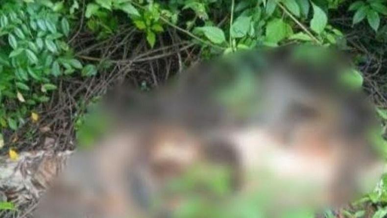 Batubara Gempar, Kerangka Manusia dan Uang Jutaan Rupiah Ditemukan di Semak-Semak