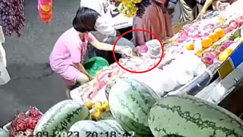 Viral Satu Keluarga Curi Buah di Pangkep, 1 di Antaranya Anak-Anak