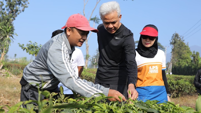 Ganjar dan Siti Atikoh Jalan Pagi, Berbincang dengan Petani Teh di Cianjur