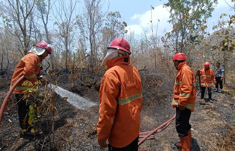 3 Hektare Lahan Jati di Kulonprogo Terbakar, Api Sempat Ancam Permukiman Warga