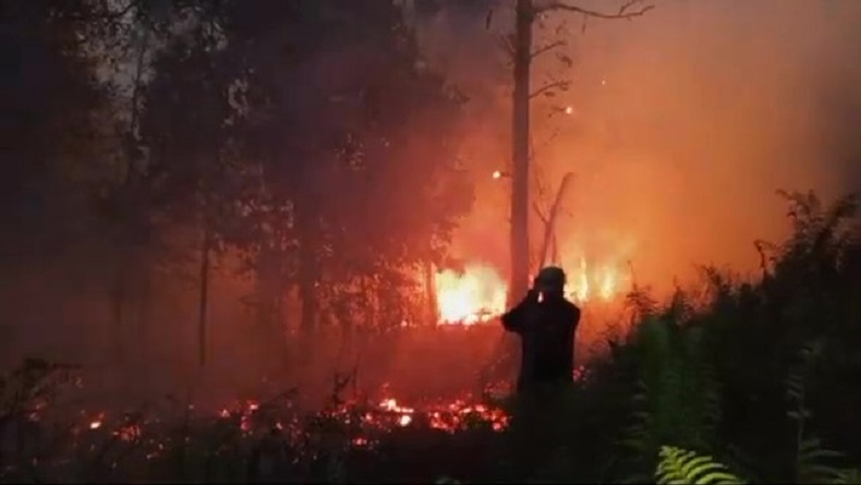 5 Karhutla Terjadi hingga Malam, Kota Palangka Raya Kembali Diselimuti Asap