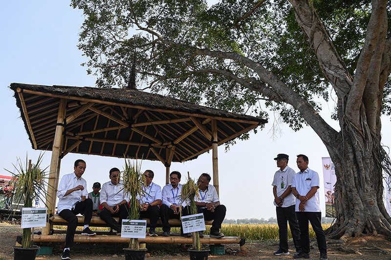 Presiden Jokowi bersama Plt Mentan Tinjau Panen Padi di Subang - Bagian 4