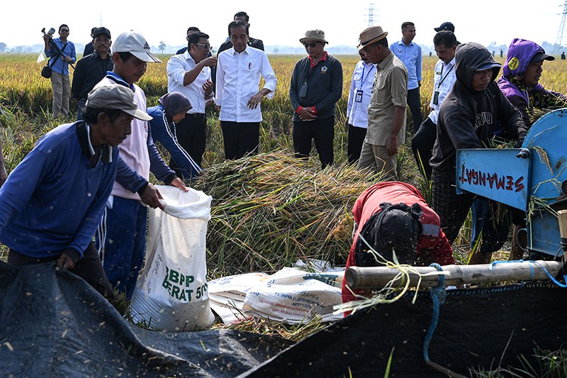 Presiden Jokowi bersama Plt Mentan Tinjau Panen Padi di Subang - Bagian 2