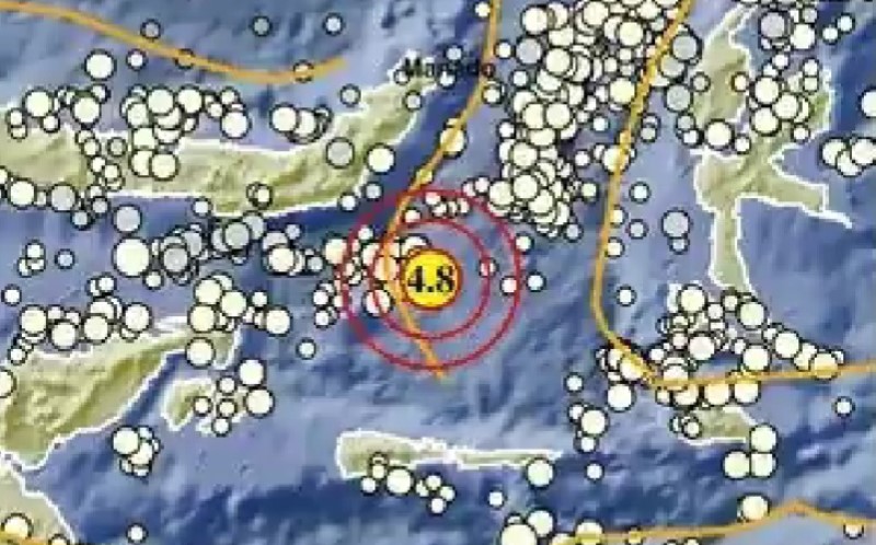 Gempa Terkini M4,8 Guncang Bolaang Mongondow Timur
