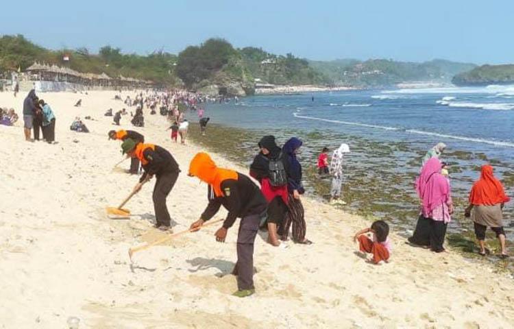 Pantai Selatan Gunungkidul Tercemar Minyak Mentah, Biota Laut Banyak Mati