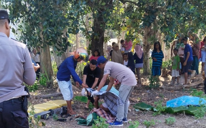 title Bakar Lahannya Sendiri, Warga Kendari Malah Tewas akibat Terjebak Api Bakar Lahannya Sendiri, Warga Kendari Malah Tewas akibat Terjebak Api