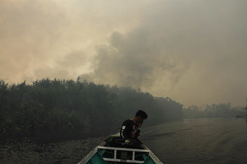 Kebakaran Laboratorium Alam Hutan Gambut Cimtrop Palangkaraya - Bagian 2