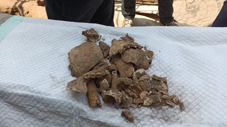 Gali Lubang Septic Tank, Pekerja di Bantul Kaget Ada Tumpukan Diduga Tulang Manusia