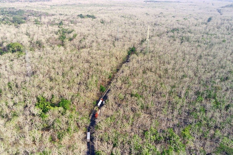 Hamparan Hutan Jati Taman Nasional Baluran Seluas 5.000 Hektare - Bagian 1