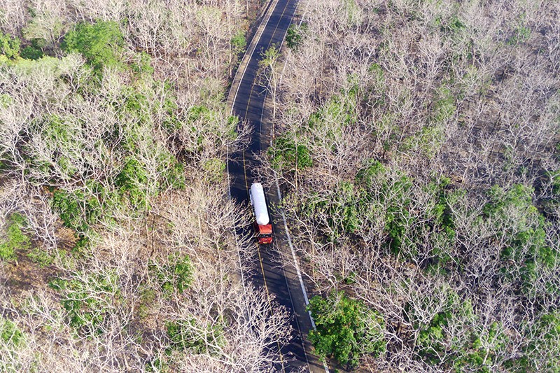 Hamparan Hutan Jati Taman Nasional Baluran Seluas 5.000 Hektare - Bagian 2