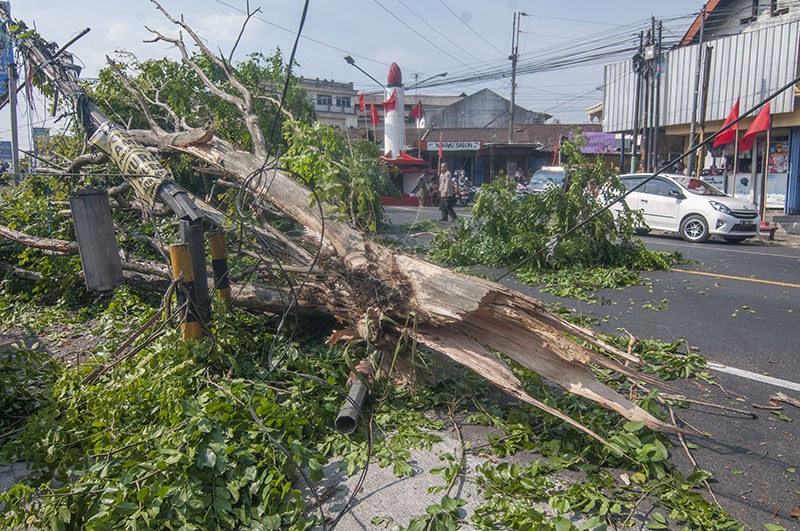Pohon Tumbang Menimpa Truk di Jalan Solo-Semarang - Bagian 2